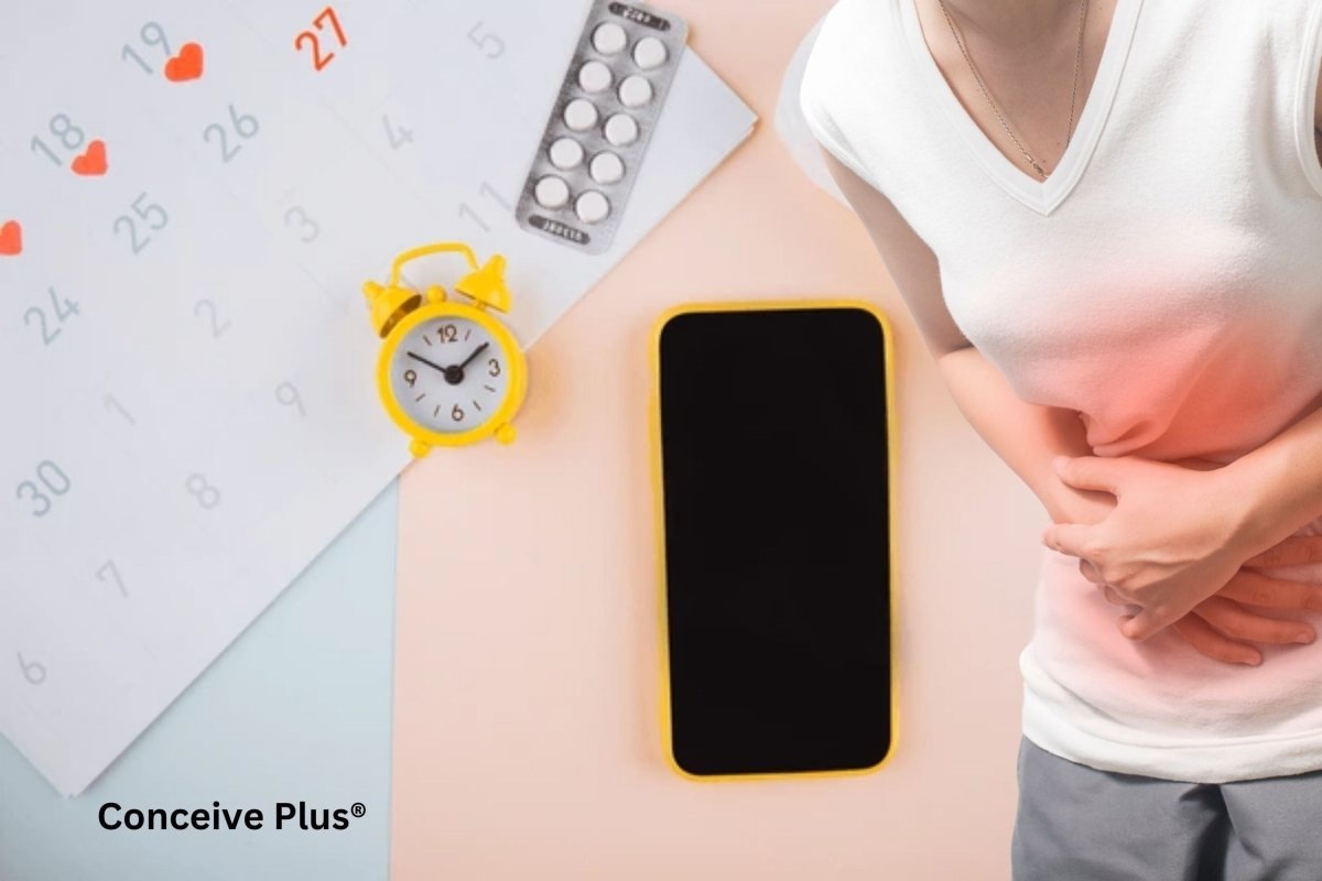 How Can I Know When Is My Next Period? - Conceive Plus®