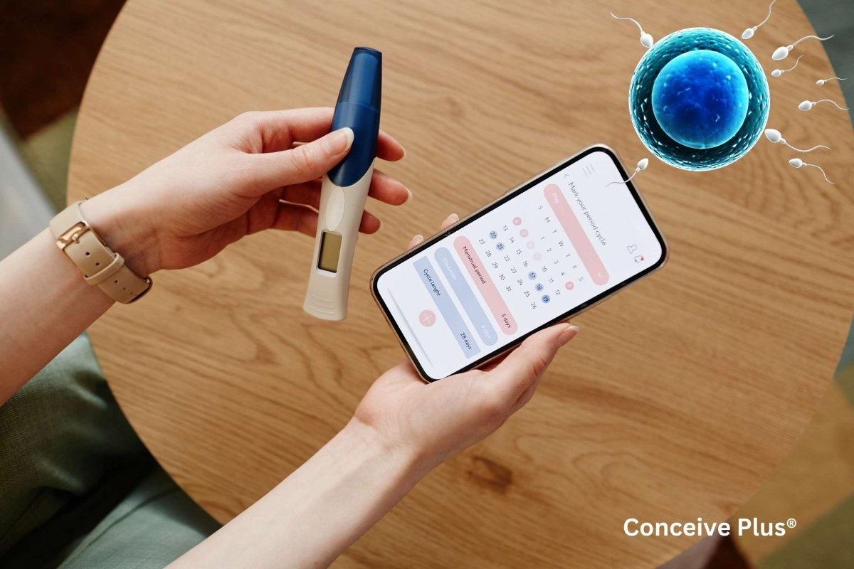 How to Use an Ovulation Calculator to Detect Ovulation? - Conceive Plus®