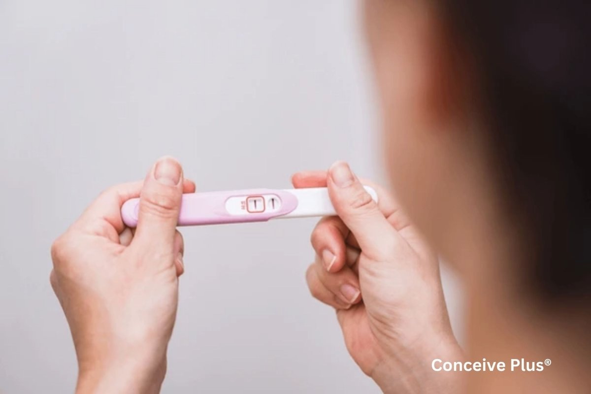 Late Ovulation Pregnancy: Insights, Causes, and Conception - Conceive Plus®