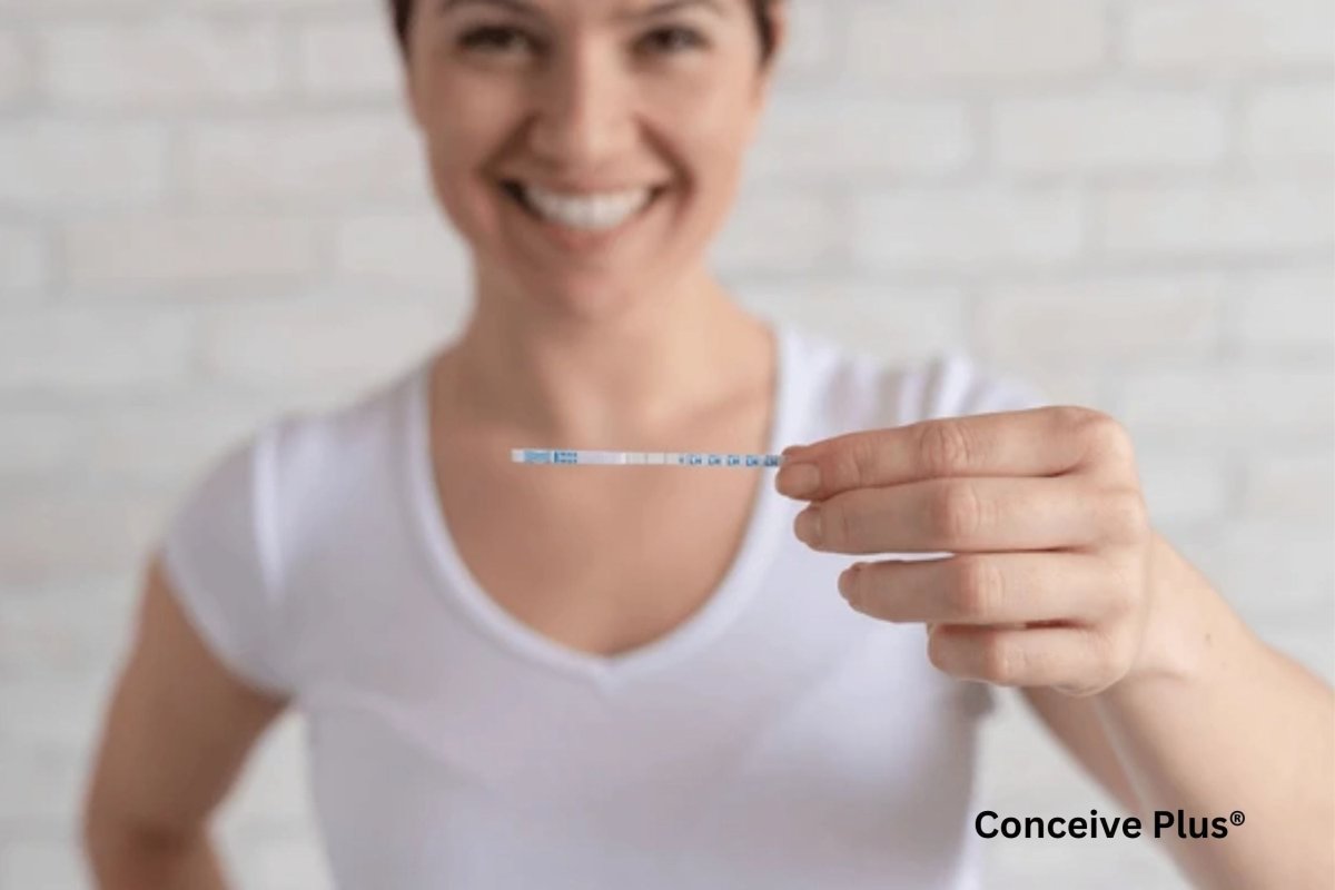 LH and Ovulation Chart: A Deep Dive into the LH and Ovulation Chart - Conceive Plus®