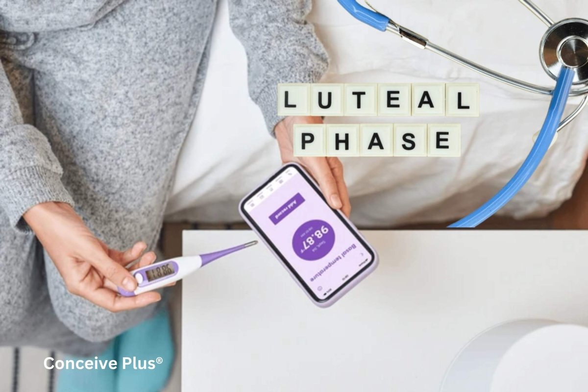 Luteal Phase Calculator: Tracking Fertility More Precisely - Conceive Plus®