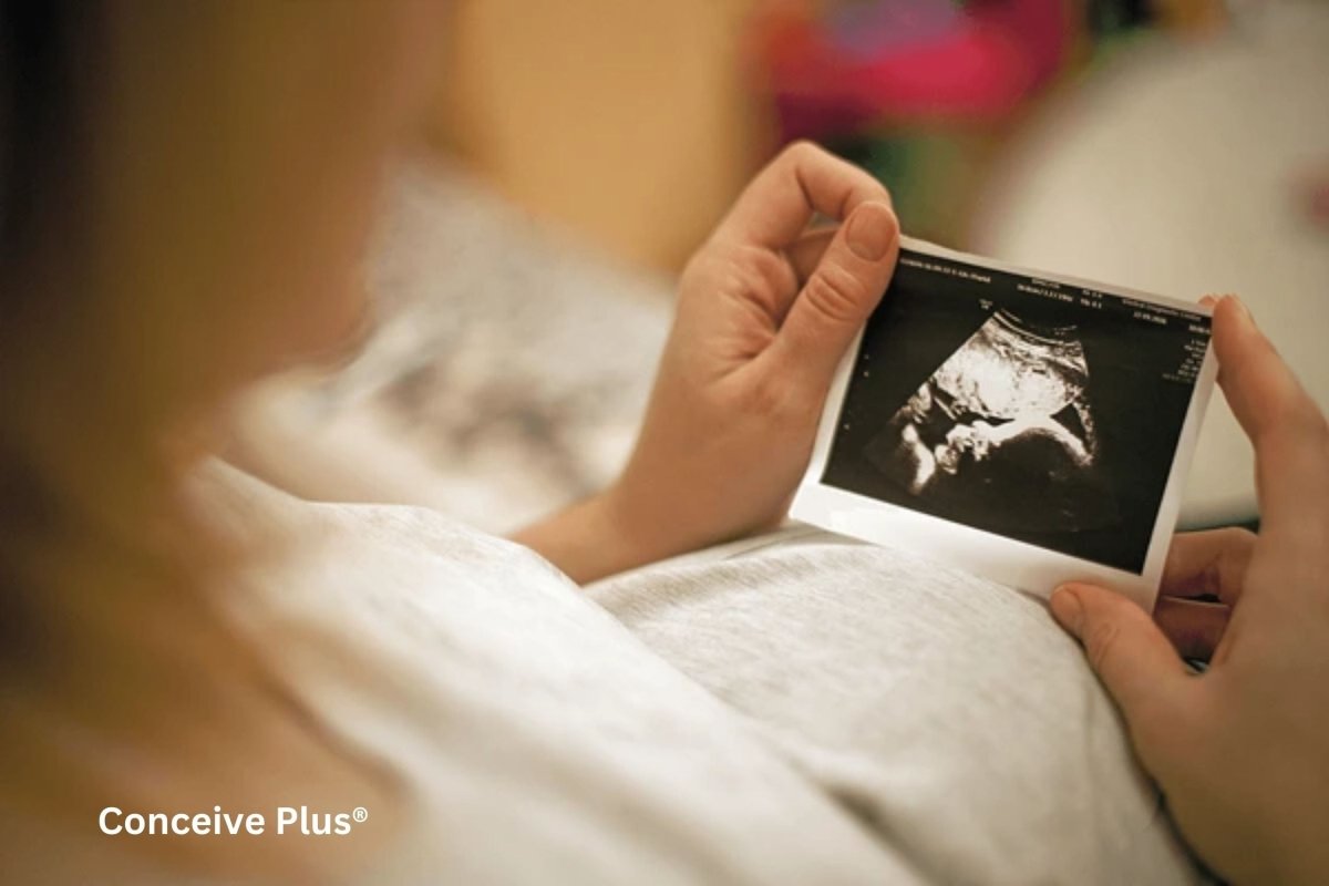 Myo Inositol Pregnancy Benefits and Precautions - Conceive Plus®