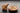 Organic Maca Is the Health World: A Comprehensive Examination - Conceive Plus®