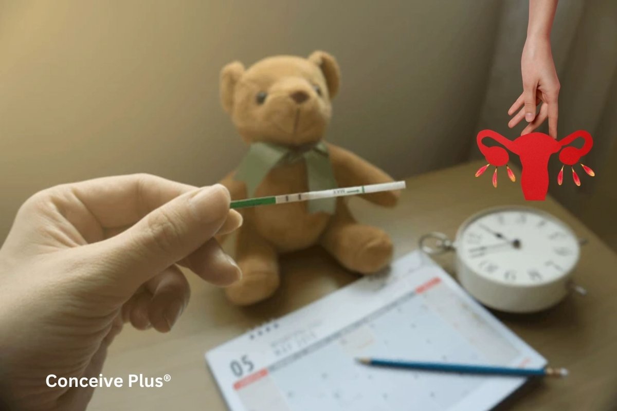 Ovulation Test Instructions: When and How to Use It Correctly - Conceive Plus®