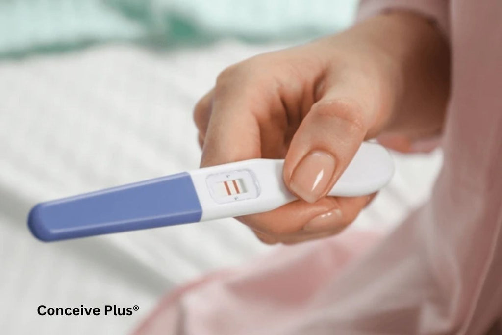 Pregnancy Test 1 Day After Implantation Bleeding: Unraveling Early Pregnancy Signals - Conceive Plus®