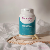 The Complete Guide to Fertility Supplements in 2026: What Actually Works