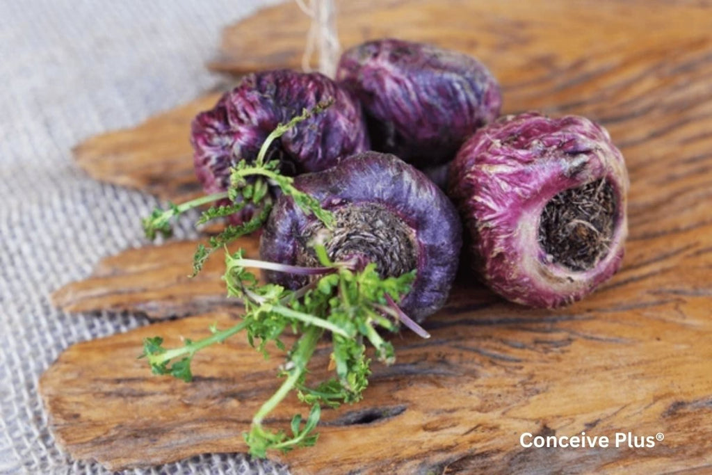 Red Maca Root: Unveiling an Ancient Marvel - Conceive Plus®