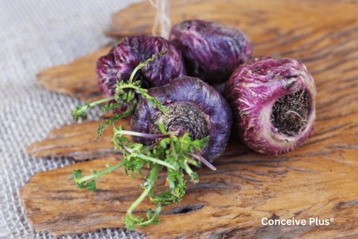 Red Maca Root: Unveiling an Ancient Marvel - Conceive Plus®