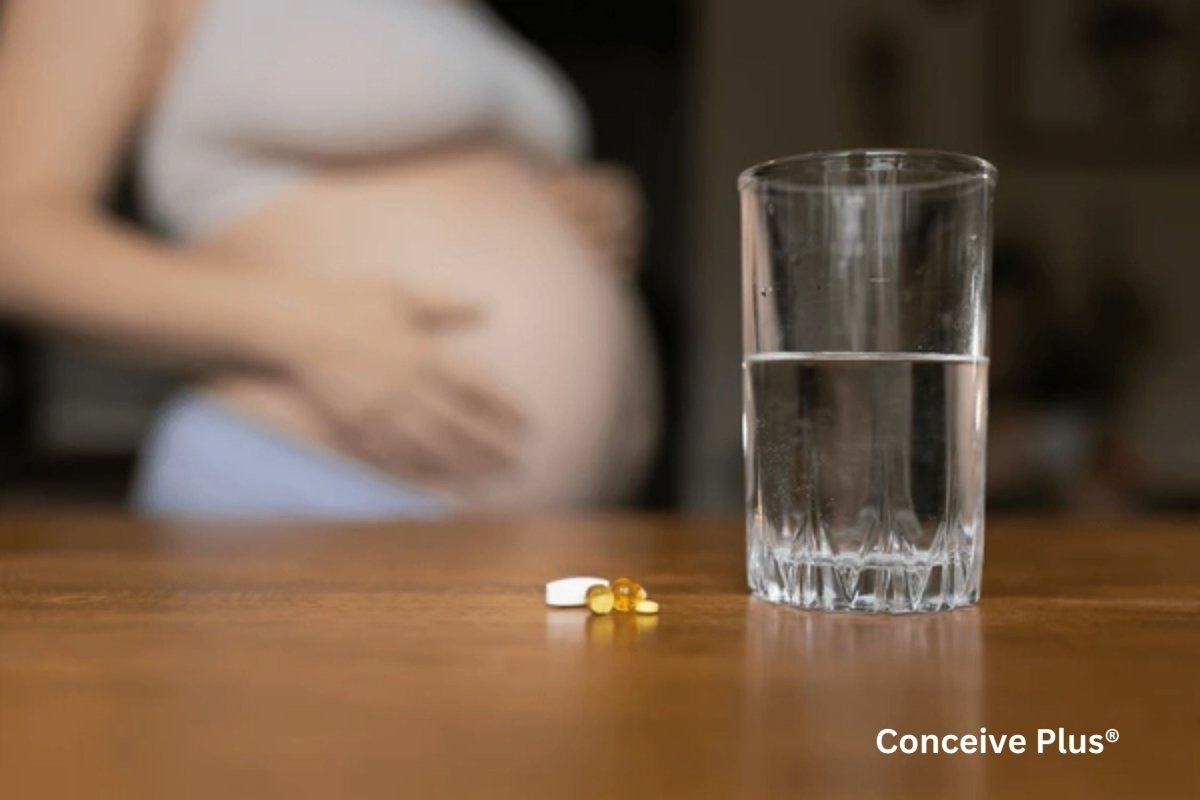 What Is Prenatal DHA and Tips for Finding the Best Prenatal DHA Supplement - Conceive Plus®