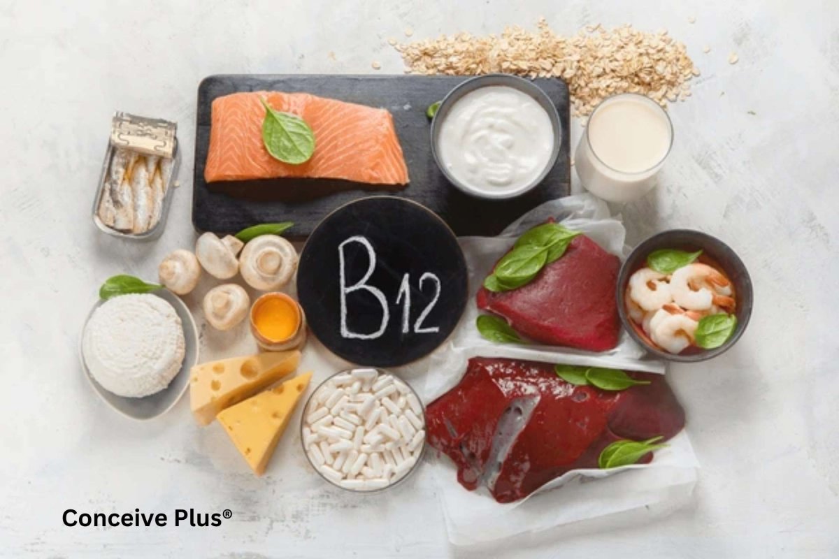 Why B12 for Pregnant Women Matter - Conceive Plus®