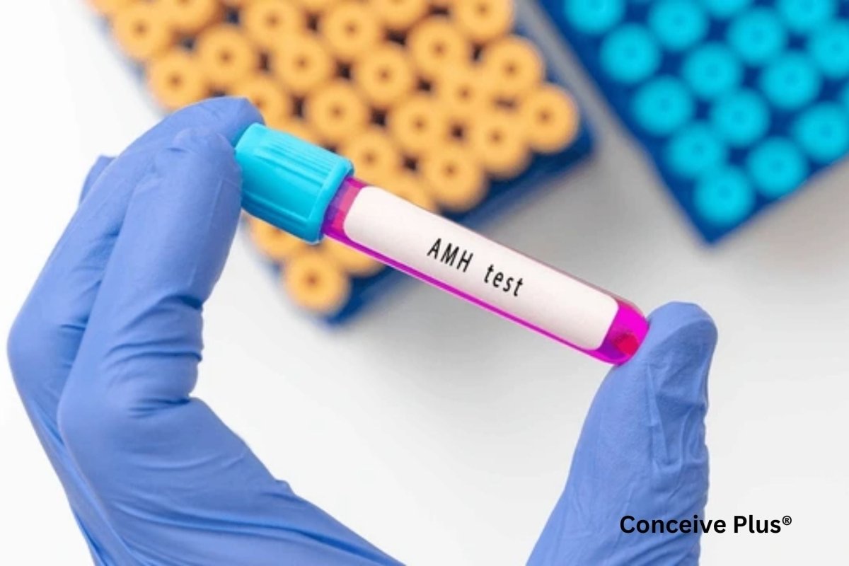 AMH Hormone Test Cost: A Closer Look at AMH and Fertility Assessments - Conceive Plus®