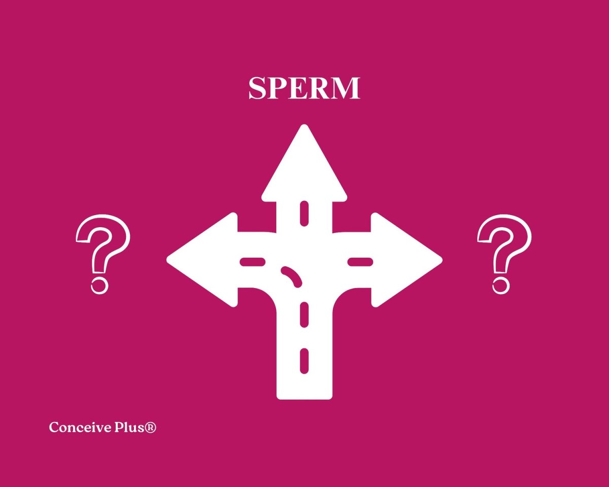 Another Name For Sperm: Common Terms and Their Meanings - Conceive Plus®