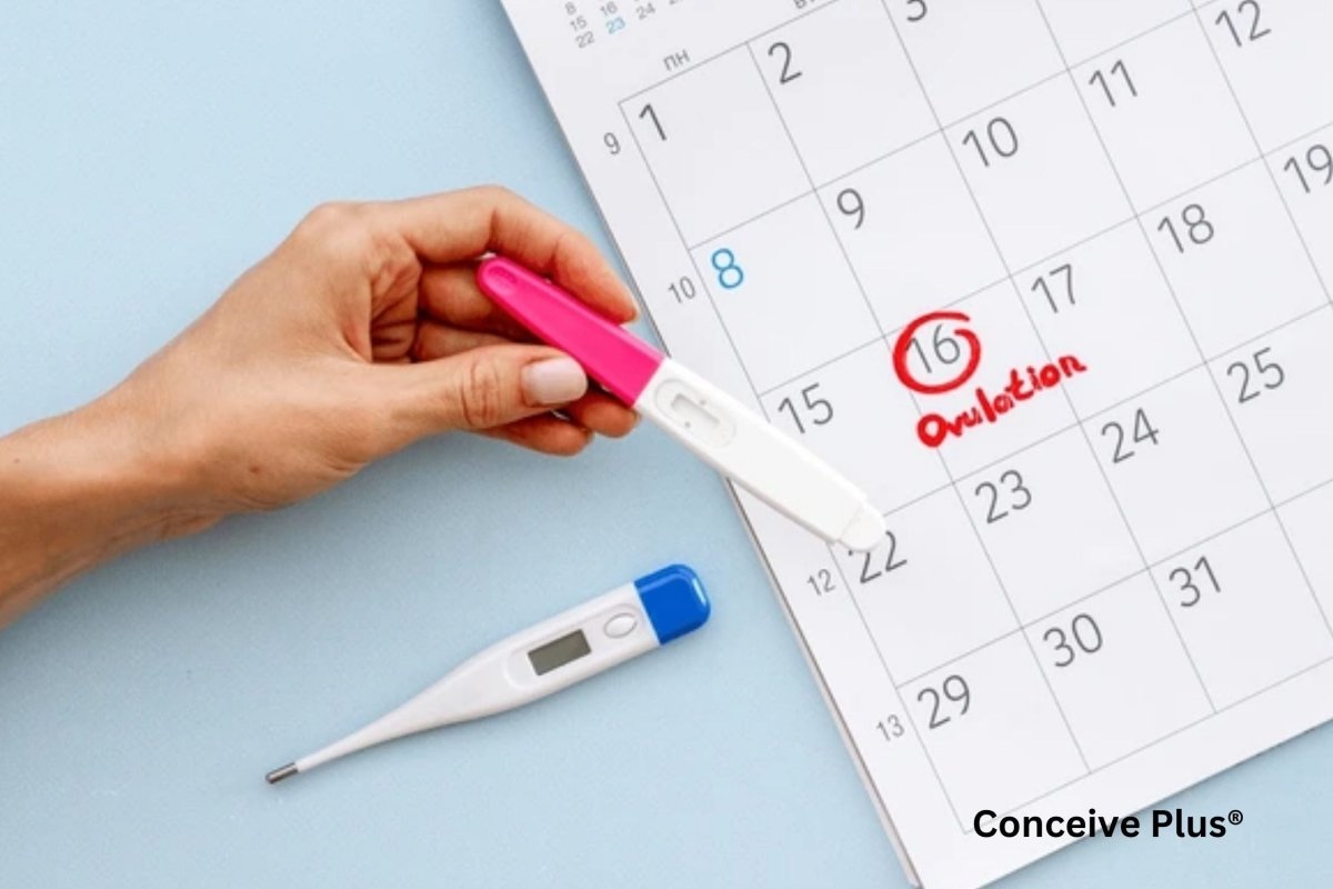 Best Ovulation Test: Empowering Your Fertility Journey - Conceive Plus®