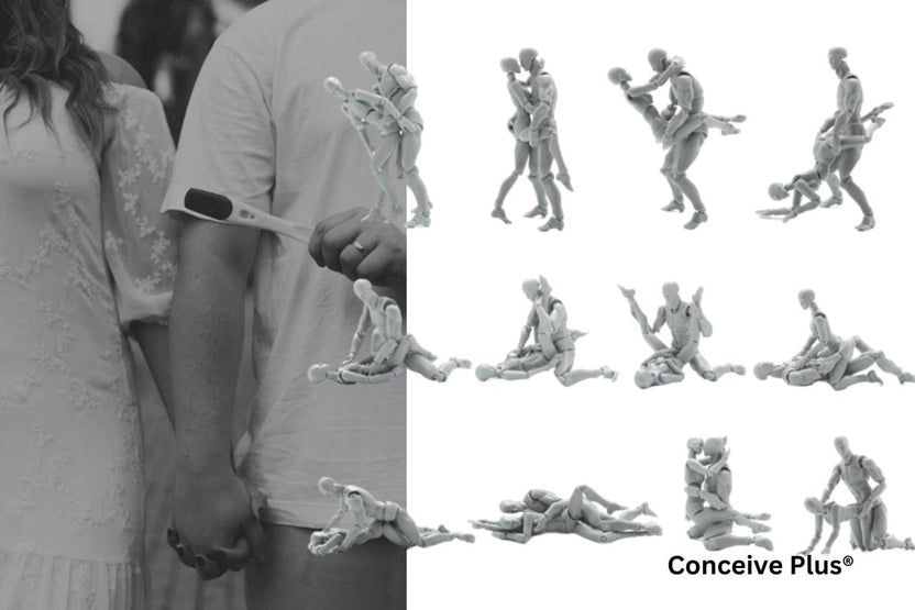 Mejor posición sexual para el embarazo | Conceive Plus®
