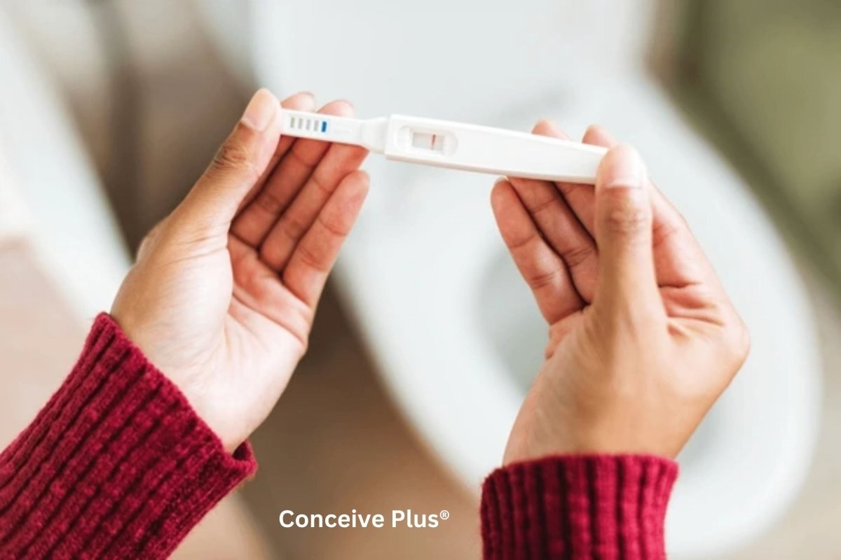 Can Dry Sperm Make You Pregnant or Is It Possible with Dead Sperm? - Conceive Plus®