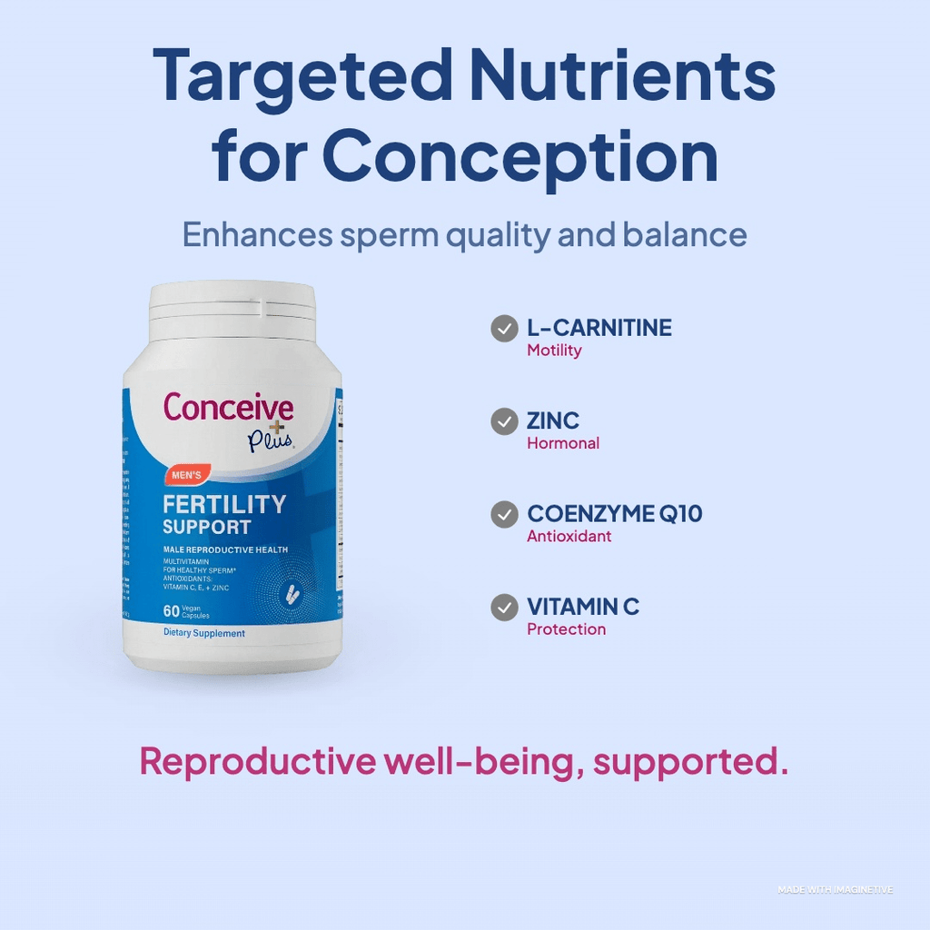 Male Fertility Test at Home: What Results Mean and What to Do Next - Conceive Plus®