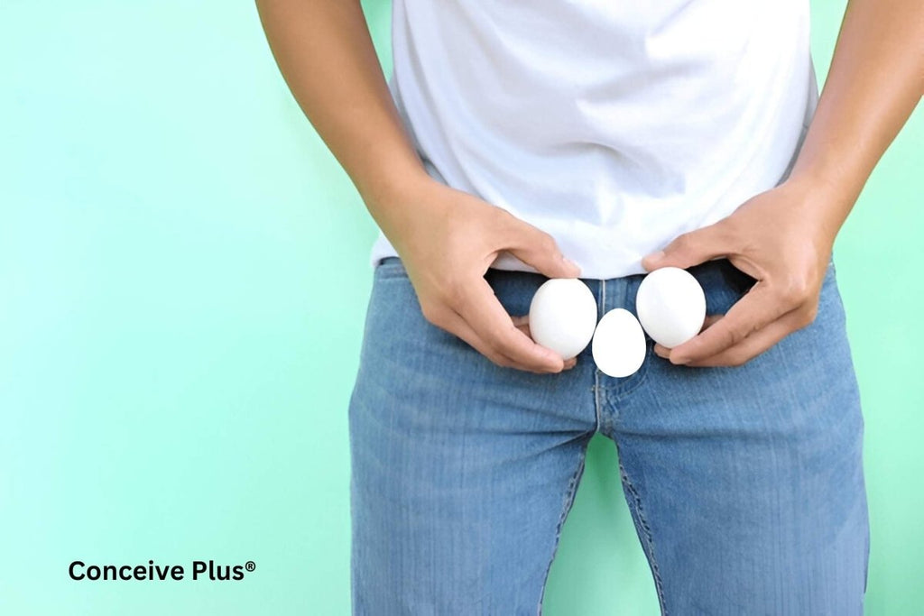 Third Testicle or Not Why Does It Feel Like I Have 3 Testicals? - Conceive Plus®