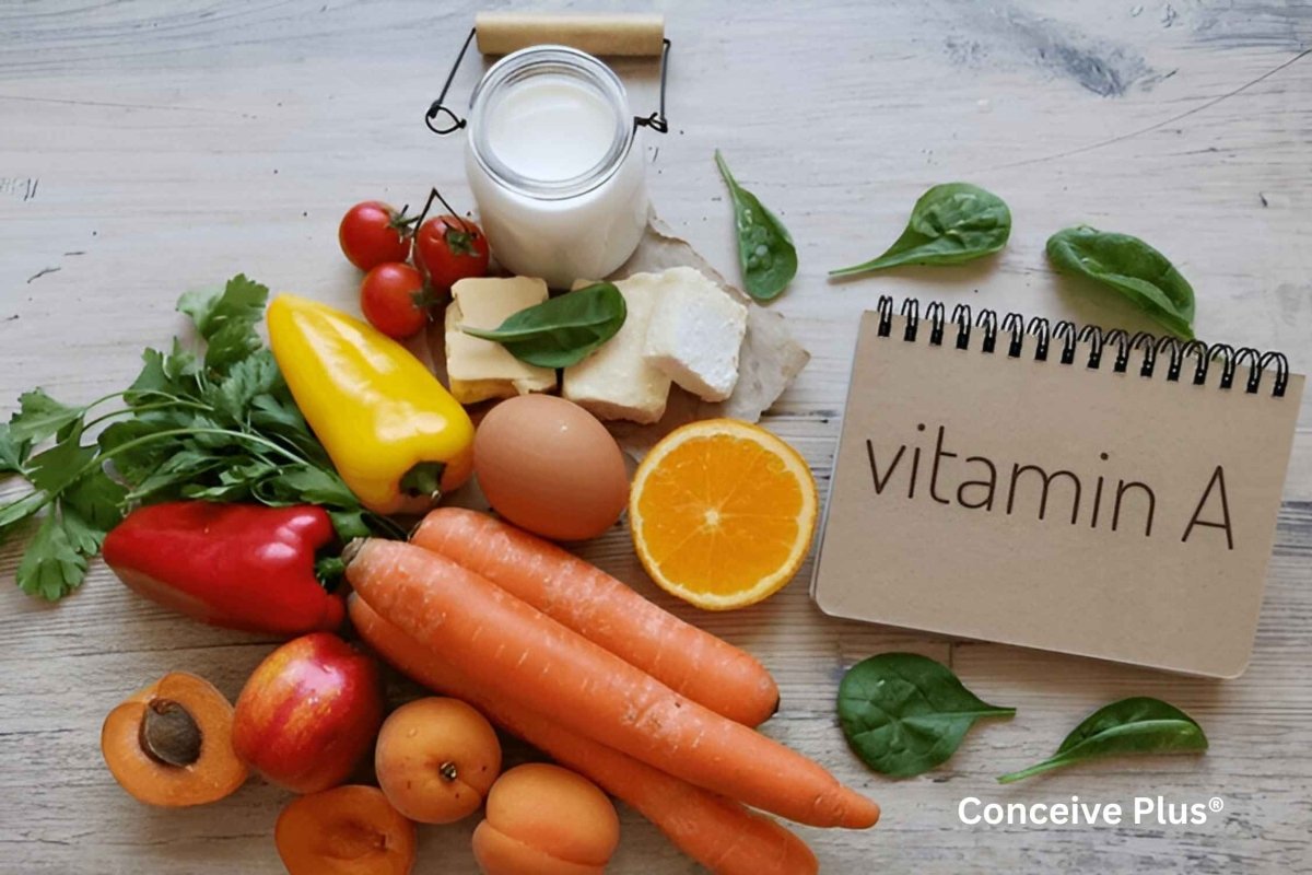 Vitamin A Sperm Relation: Everything You Need To Know - Conceive Plus®