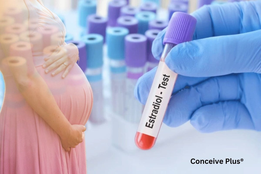 What Estradiol Levels Day 3 and Day 3 FSH Reveal About Fertility - Conceive Plus®