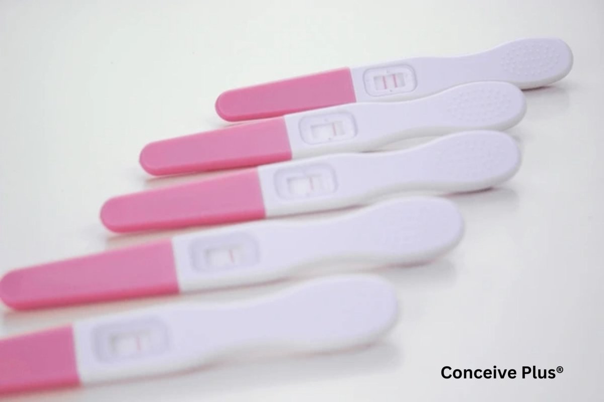 What Is Mean By False Positive Ovulation Test? - Conceive Plus®