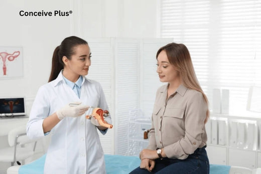 What Is the Normal Size Uterus Before and After Pregnancy? - Conceive Plus®