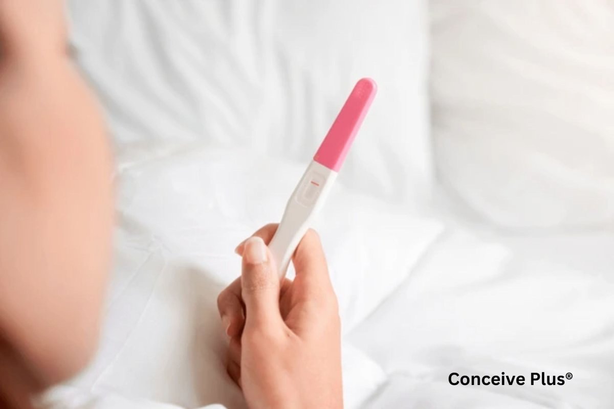 When Do Women Become Infertile: Charting the Female Reproductive Journey - Conceive Plus®