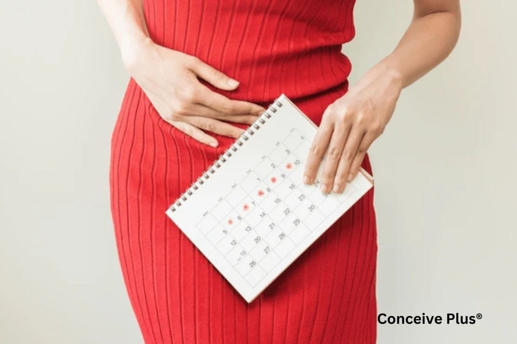 When Will I Get My Period? Possible Causes for Delays - Conceive Plus®